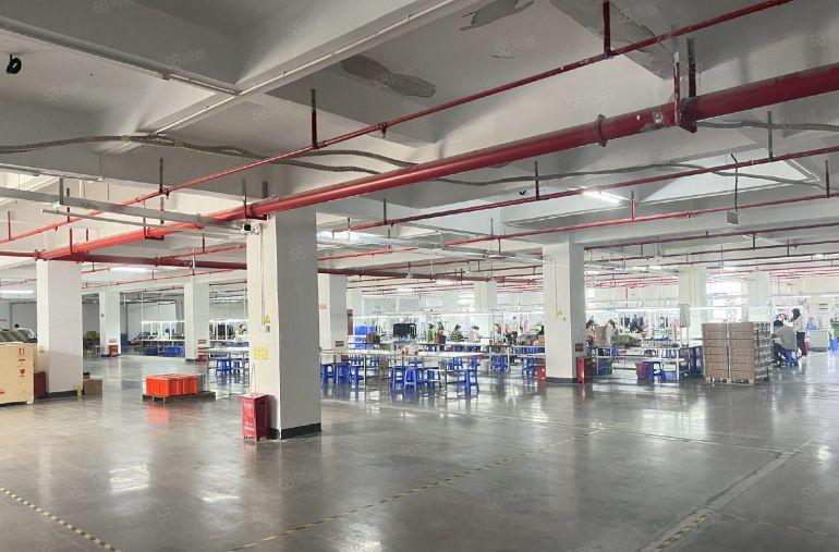 陈江工业区新出楼上现成装修3000平办公室仓库厂房低价出租