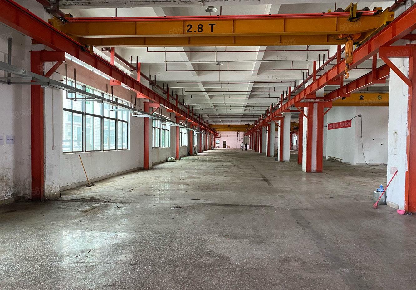 仲恺高新区陈江五一工业区TCL旁1500平带装修厂房出租