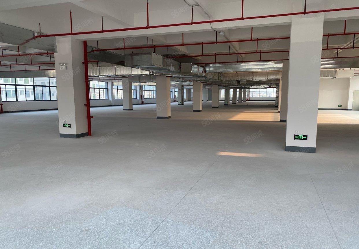 平南全新厂房出租，有宿舍配套。高速附近交通方便联系