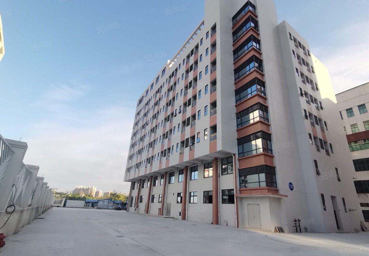 仲恺惠环全新红本厂房20394平方原房东直租接受半层分租