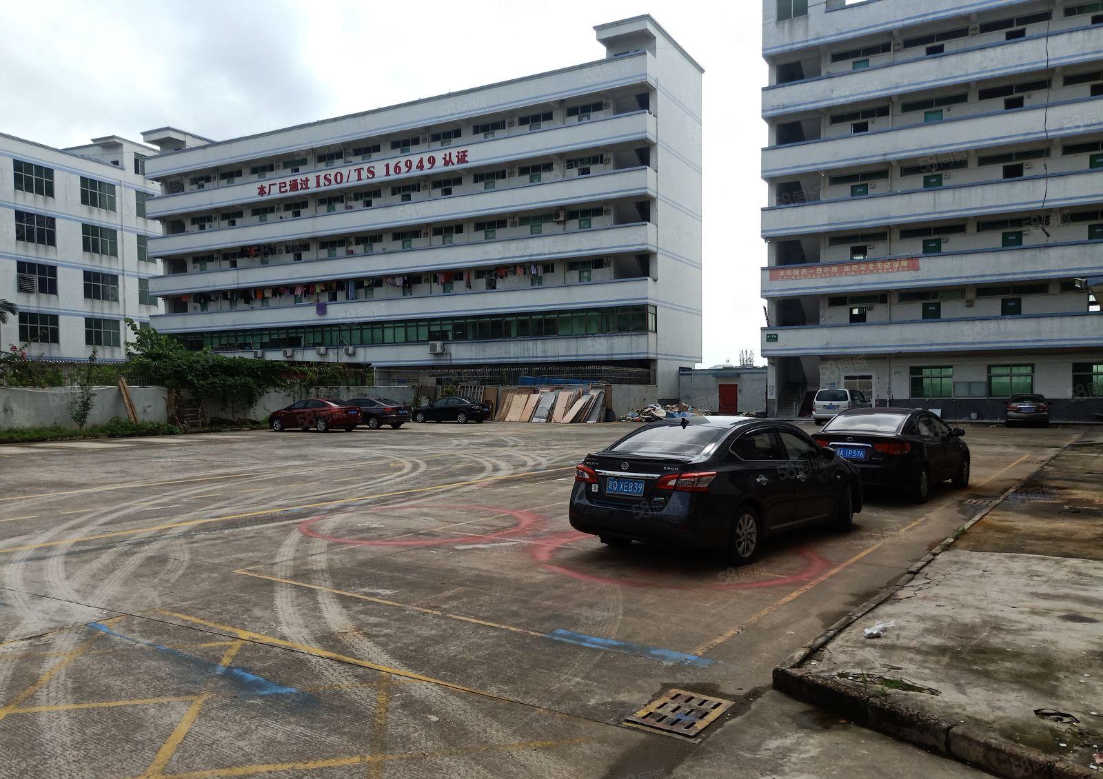 赠！免租期 陈江区新出标准厂房 可做电子生物 证件齐全带红本