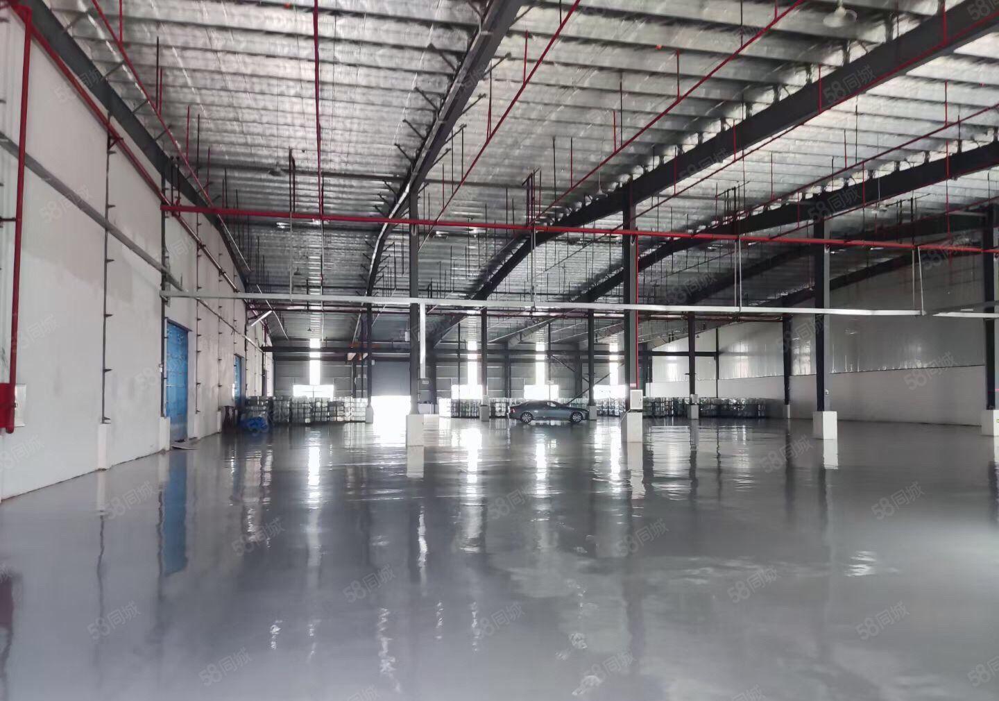 原房东！仲恺陈江镇五一工业区独院钢构厂房3000平方无公摊