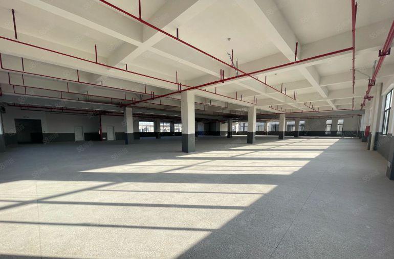 陈江特价8元独门独院3200实际面积出租 合同期长可分租