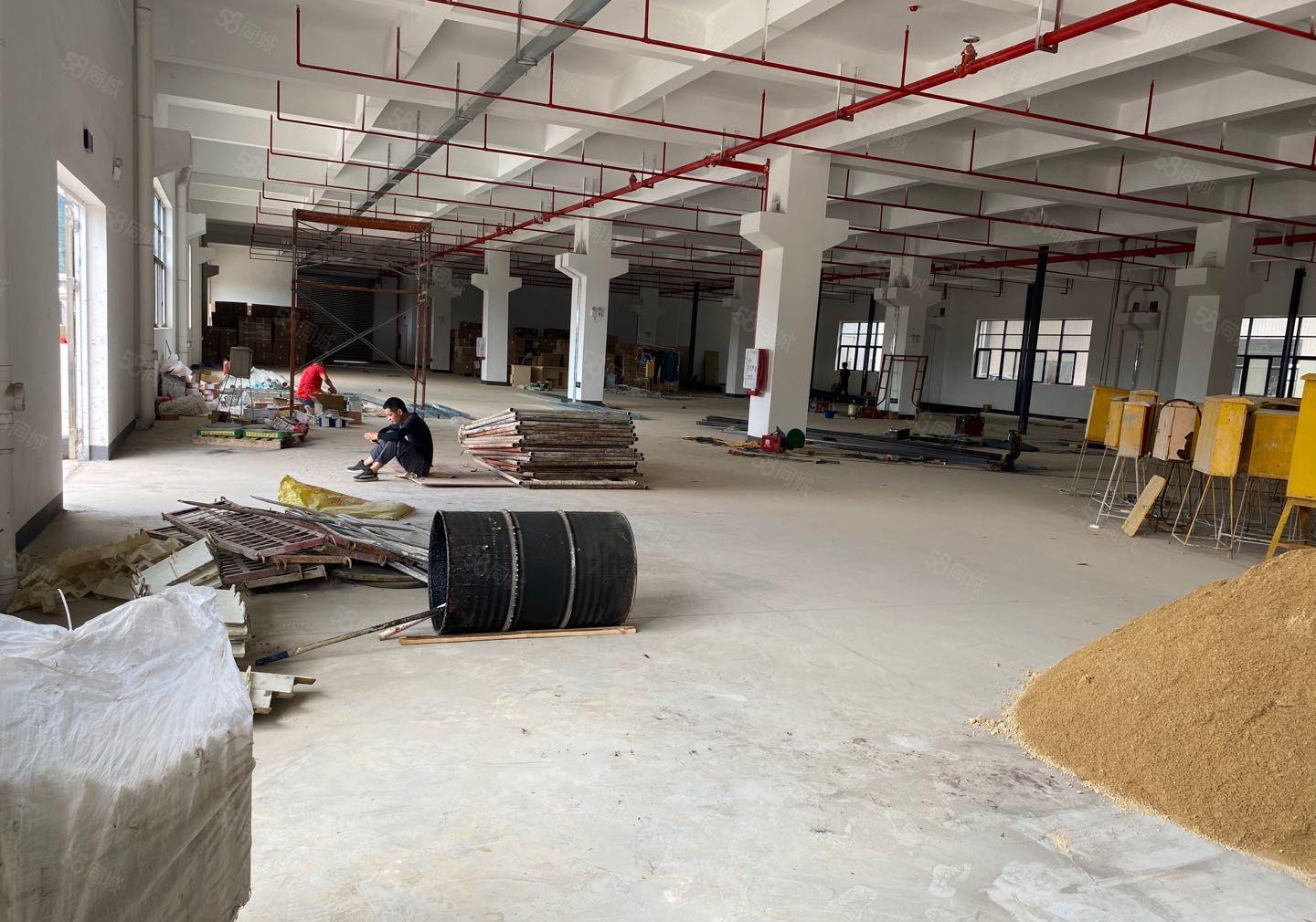 仲恺陈江小学2200标准一楼红本厂房仓库出租面积实量原房东