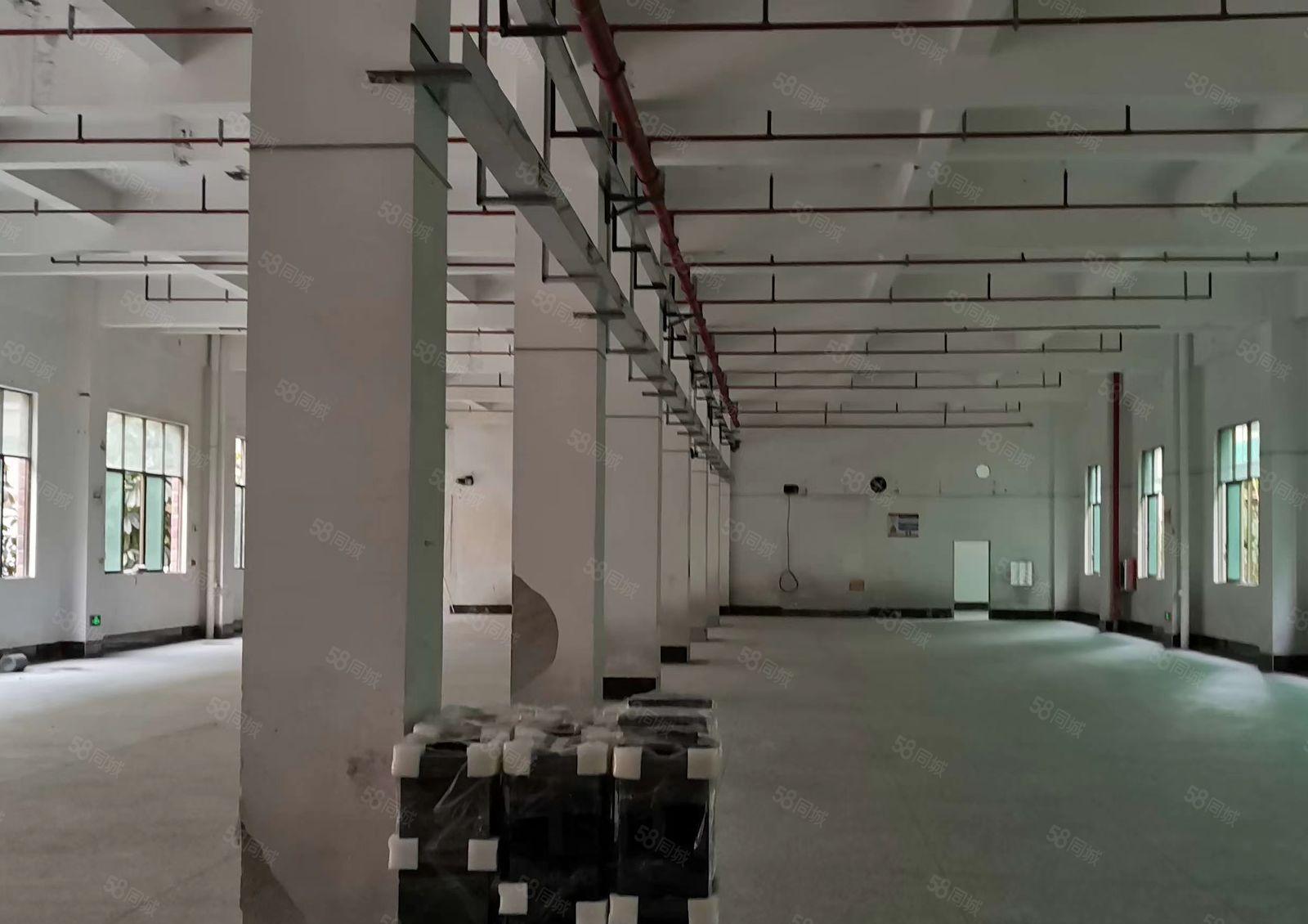仲恺松山工业区原房东厂房分租一楼620平米，证件齐全！不拆迁