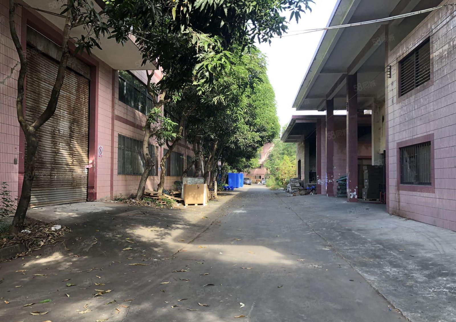 仲恺高新区新出16000平方12米高单一层厂房出租