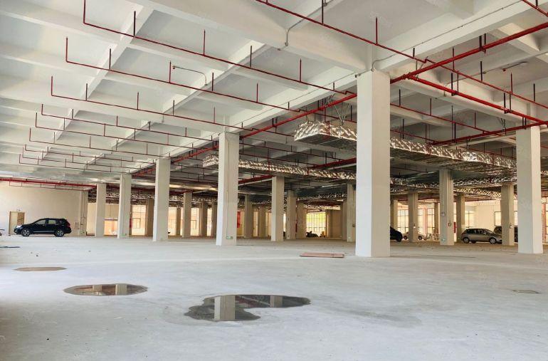 仲恺全新标准厂房出租