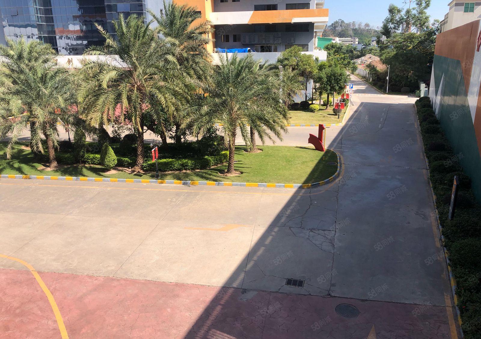 带精装修！仲恺惠环已隔好600平方和400平方车间水电齐全