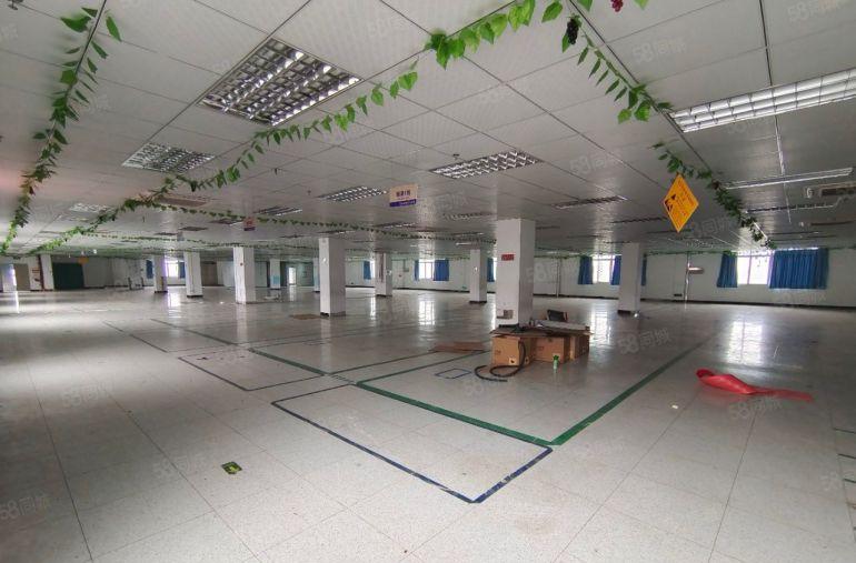 仲陈江原房东独栋厂房出租 带精装修 单层面积1712平