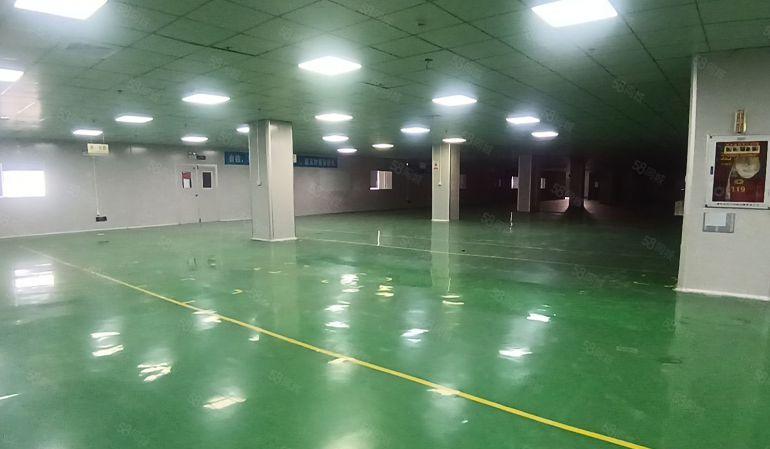 独门独院精装修带中央空调厂房出租 水电齐全可办证 可进拖头车