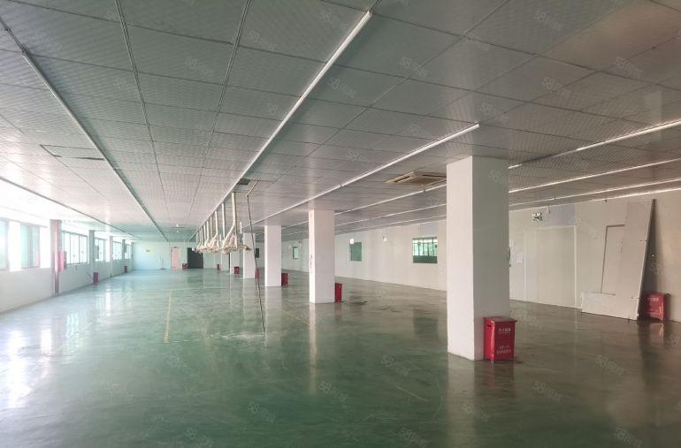 带装修！沥林高速口工业园区200平至2000平米厂房仓库出租