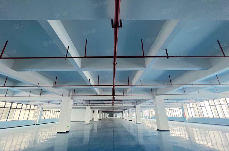 仲恺新出原房东3000平米带地坪漆厂房仓库低价出租有红本可分