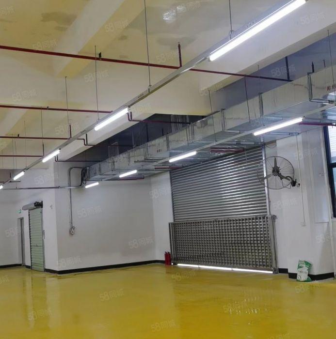 仲恺高新区全新一二楼厂房招租2200平方带全新装修原房东直租