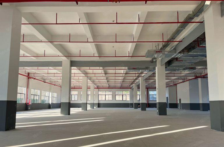 仲恺潼湖特价11.8独门独院3500平全新红本实际面积