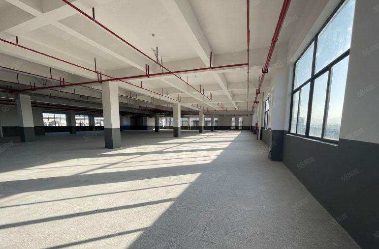 仲恺特价11.8元独院独门2200平实际面积全新红本原房东