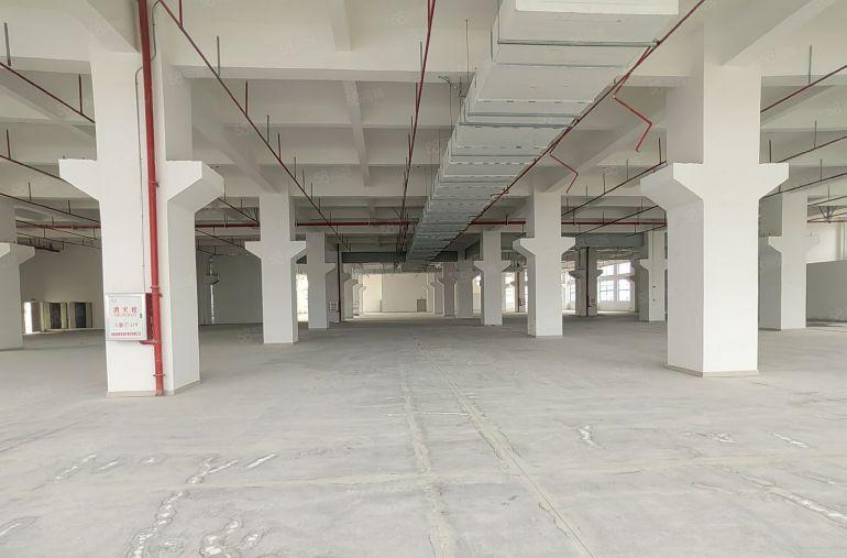 仲恺高新区原房东全新红本可办环评厂房出租13800平电梯5吨