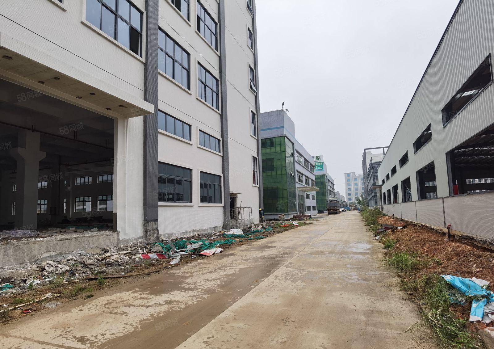 惠州市仲恺沥林镇18000全新红本厂房原房东出租500起分