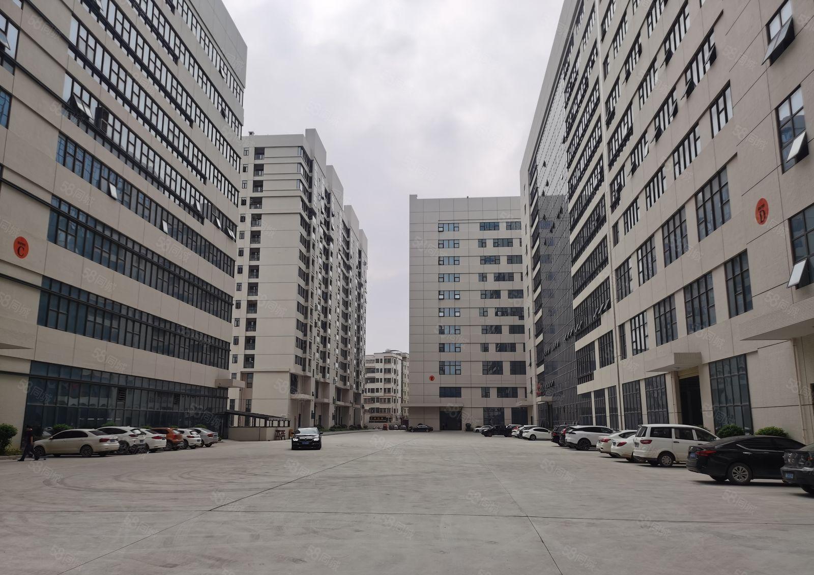 陈江东升工业区全新十万平米红本产权工业园招租！分租一千平米起