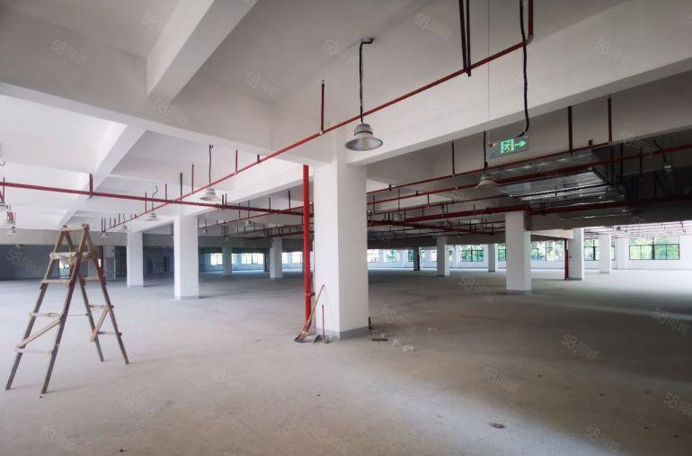 仲恺高新区原房东（独门独院）红本厂房14800宿舍2630平