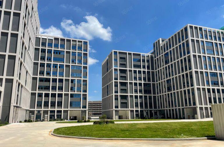 只要6块 惠环原房东单层面积2000平厂房实际面积低价出租