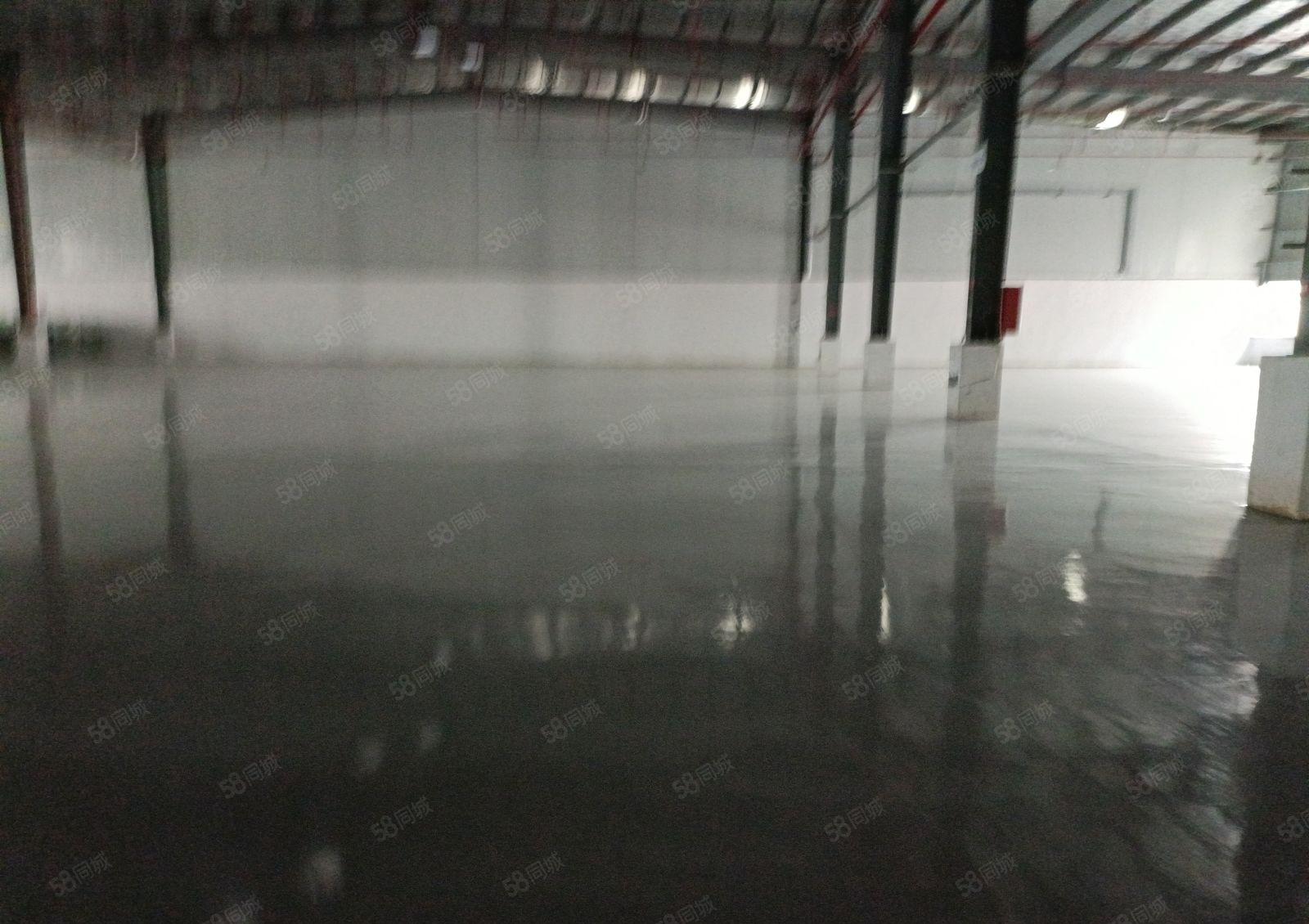 潼湖高速出口独栋钢构厂房出租 3500平米 带装修