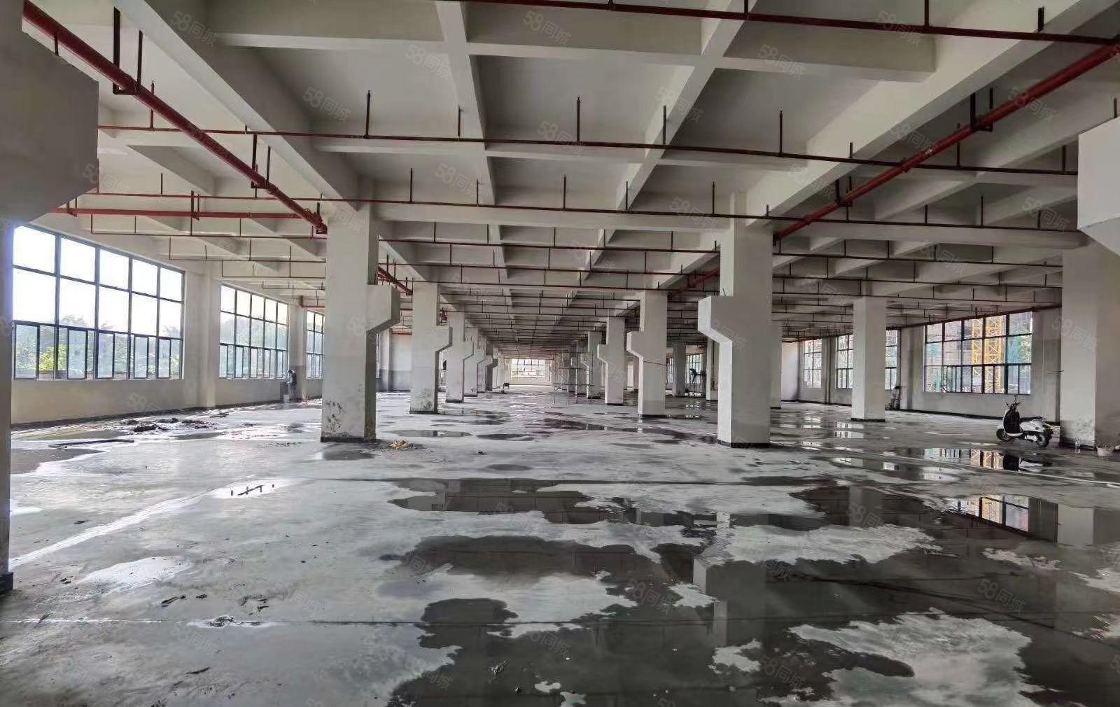 惠州市仲恺高新区TCL全新标准厂房35800平米招租大小可分