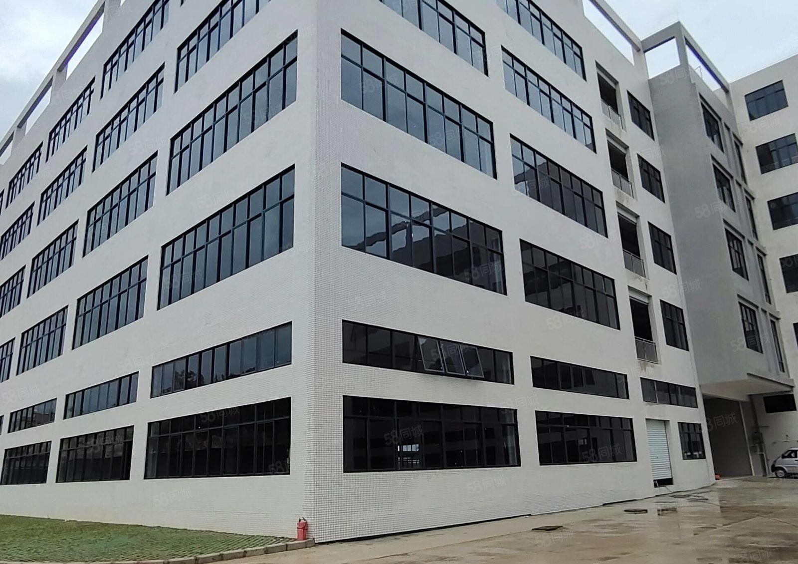 仲恺海关附近新出厂房一楼加楼上2400平方，可分租