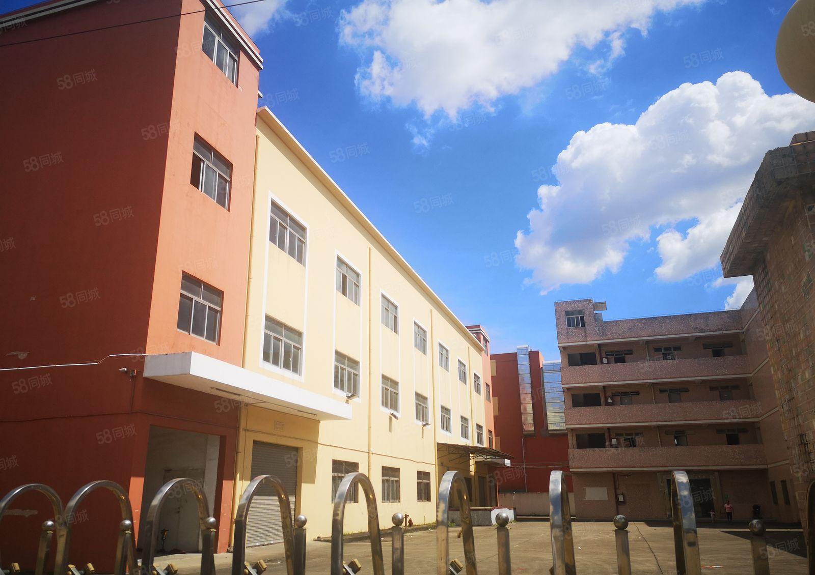 惠州仲恺沥淋镇新出3600平方村委厂房出租可分租