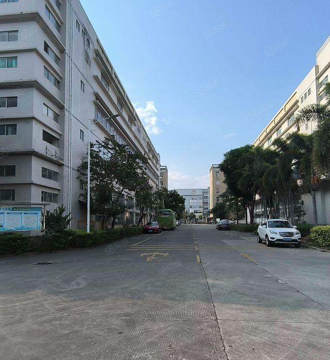 仲恺陈江原房东2000平精装厂房仓库出租 水电齐全 好招工