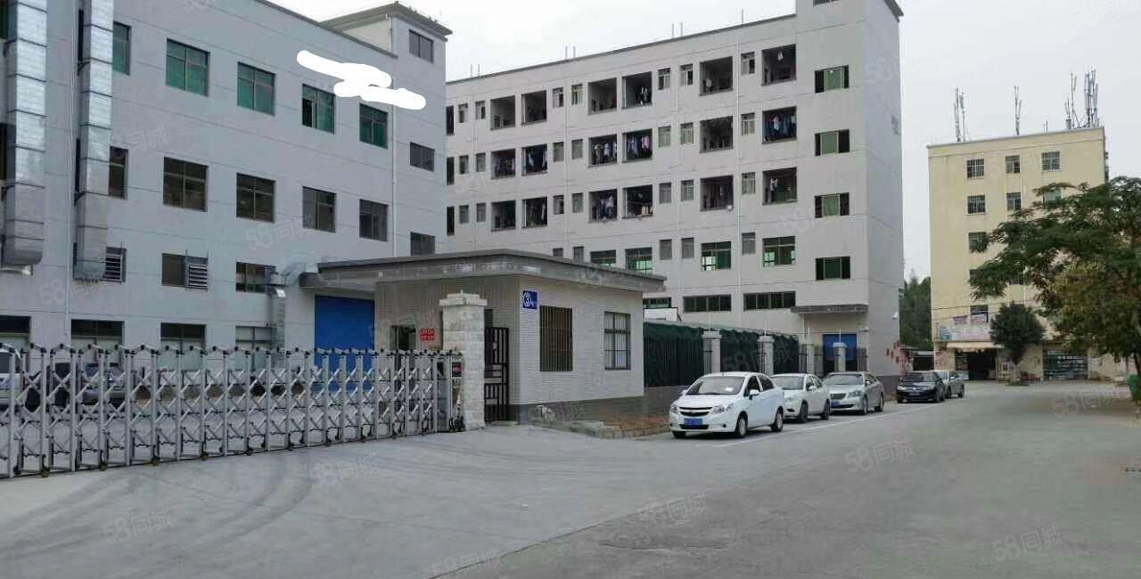 陈江独院圣帞高新材料厂6900平带装修高标准有环评原房东招租