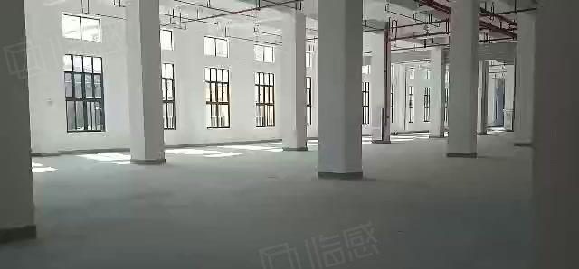 赠！免租期陈江区标准厂房10000平 电子生物产业园 带红本