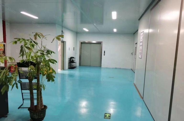 低价11块原房东5吨货梯500起租仲恺陈江精装修厂房仓库出租