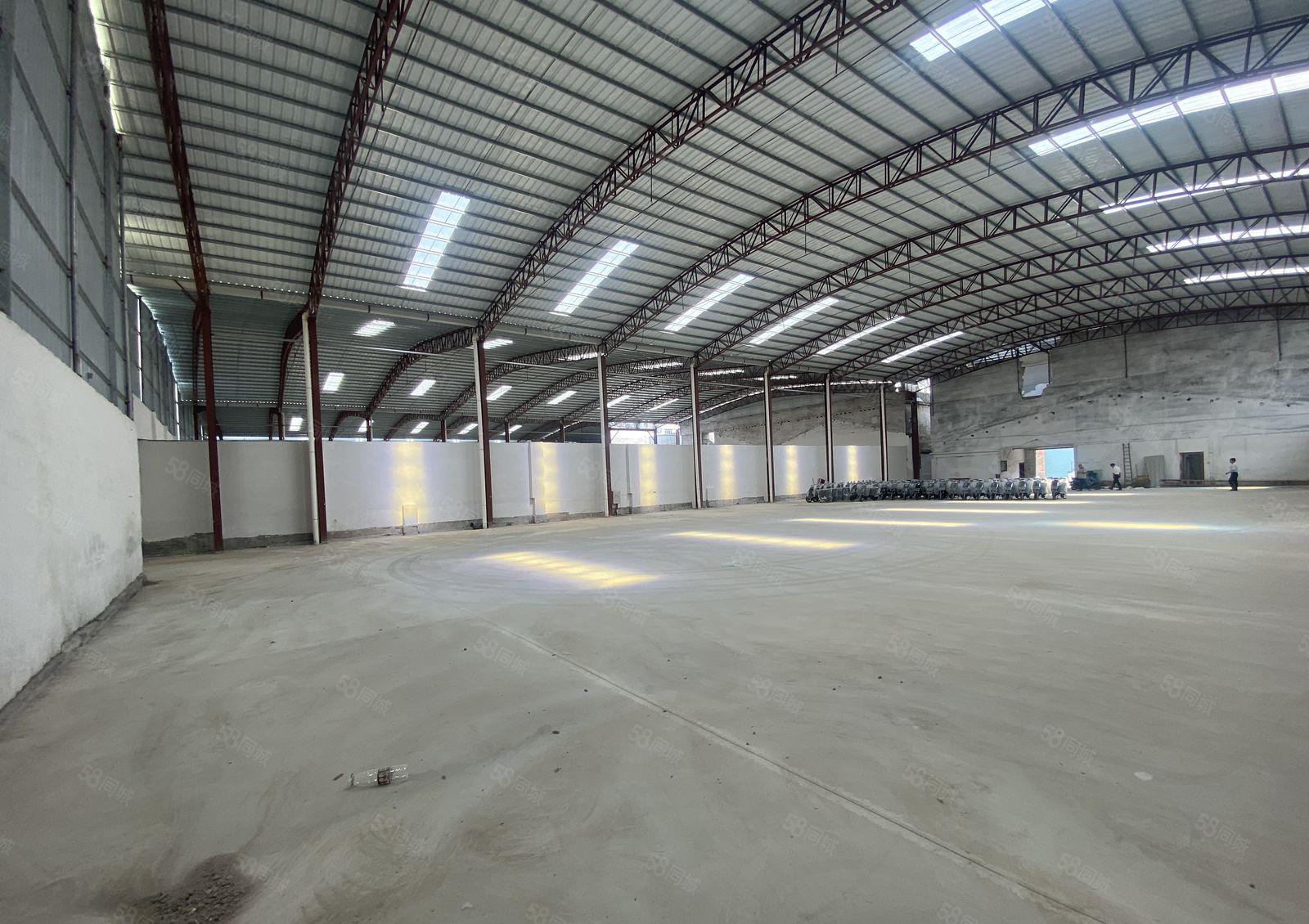 仲恺区沥林镇泮沥路原房东独栋单一层钢构8千平方厂房出租可分租