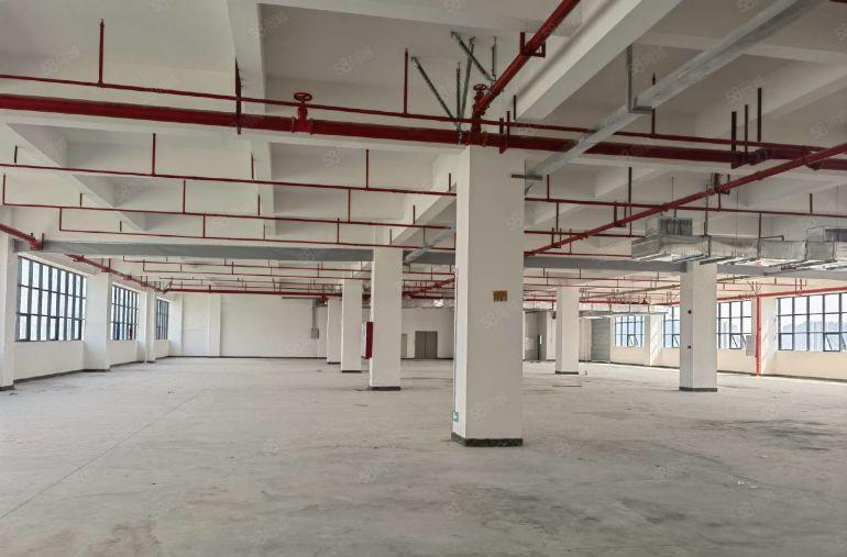 8元厂房低价出租免租6个月