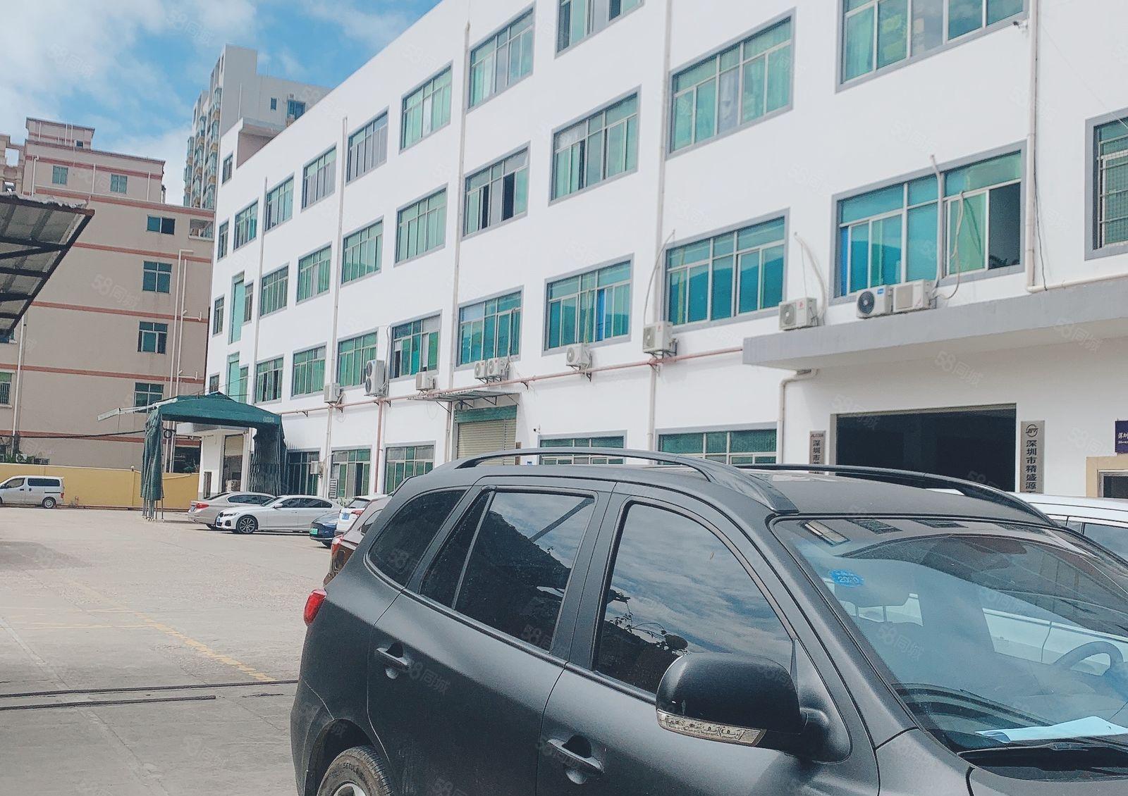 仲恺陈江独门独院4000平高6米原房东红本仓库厂房200起