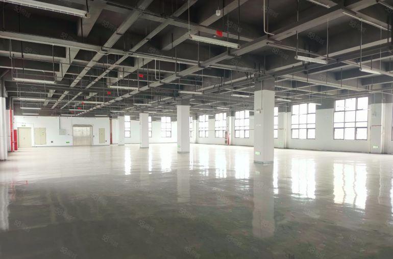 仲恺陈江独门独院园区10万平厂房出租