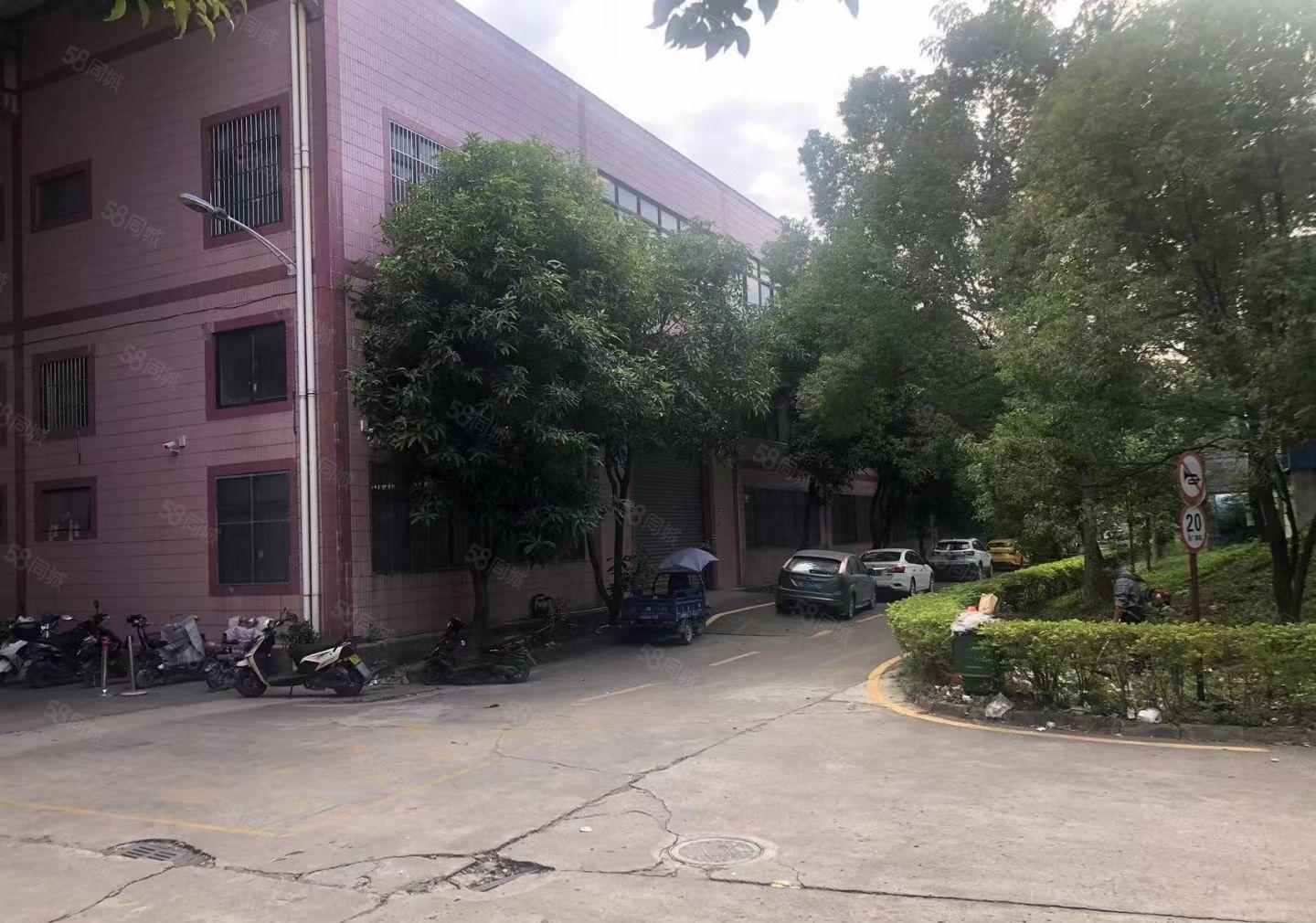 陈江镇新出12米钢构，独门独户！园区安全！有红本！