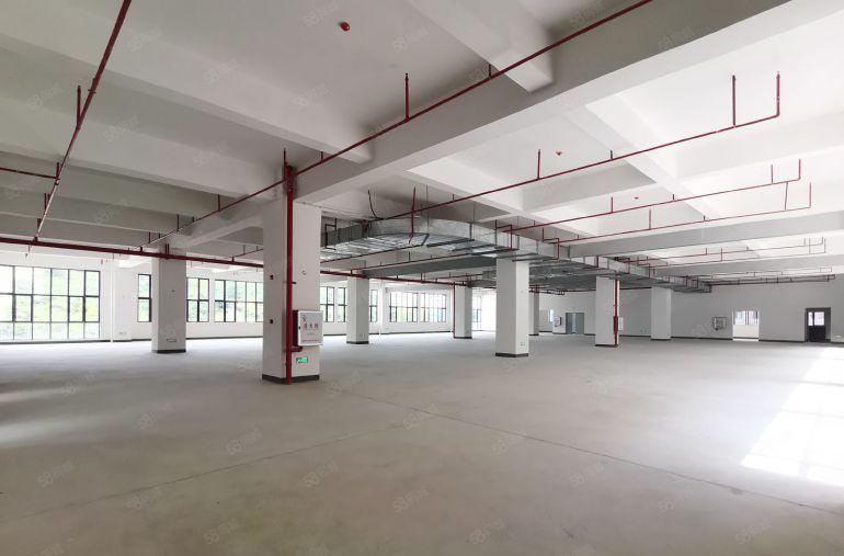 红本厂房出租，可做污染厂房可排水可办环评，高速口0距离