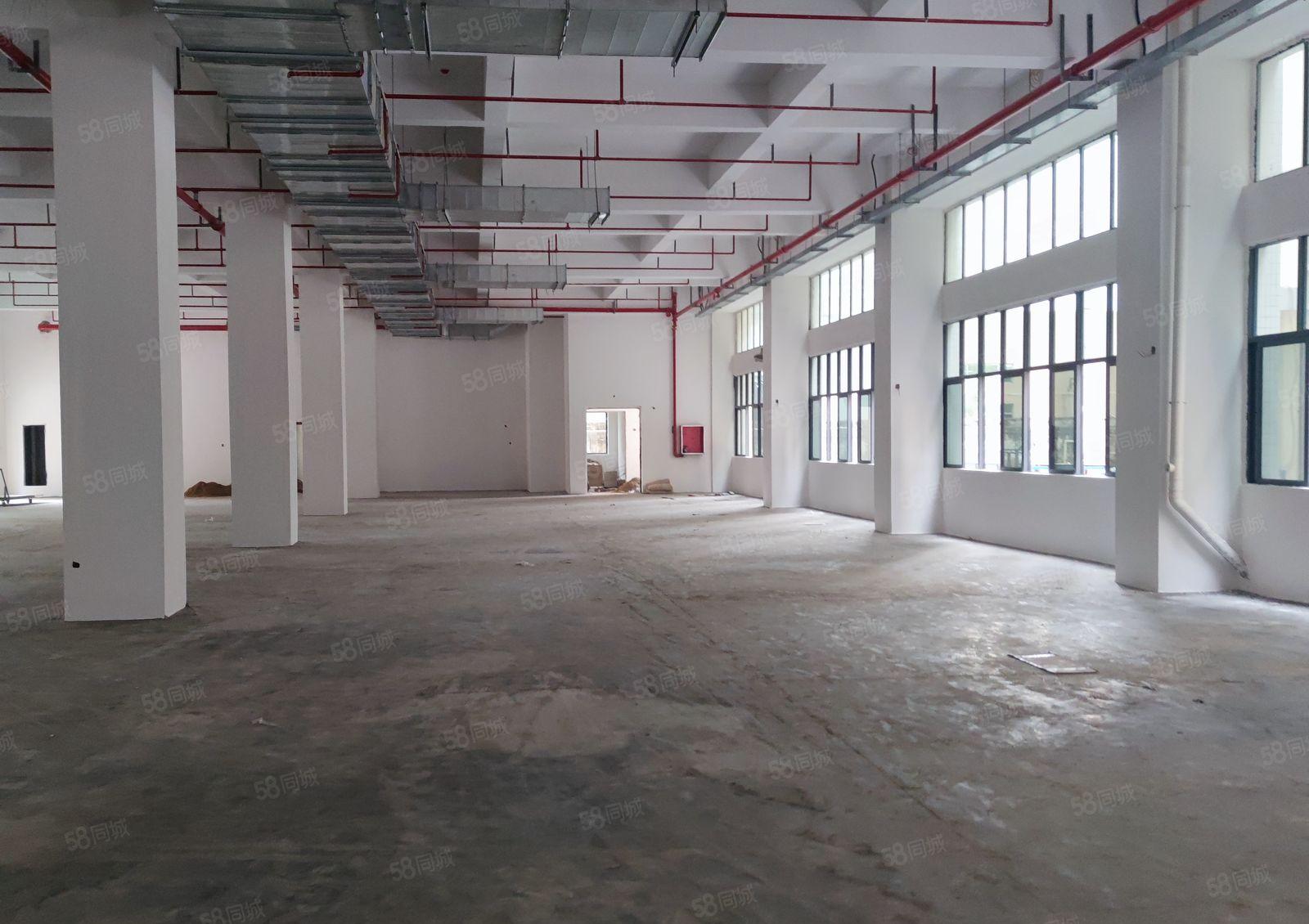 新建红本厂房，配套设施完善！入驻即可生产！给企业一个安心的家