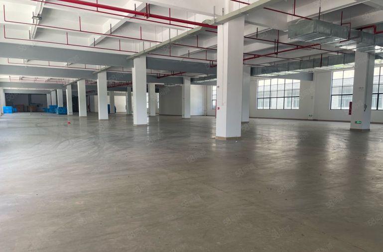 惠环原房东一楼标准厂房1000平，空地大，好进大车