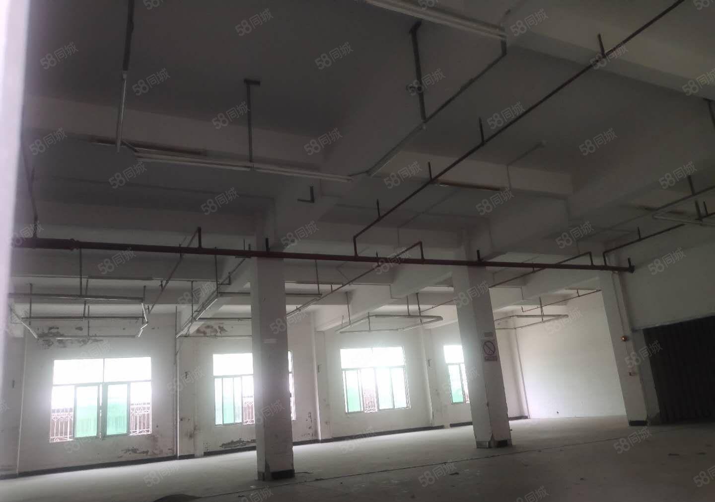 陈江惠环空出小独院2000平滴水8米原房东证件齐全可分组。