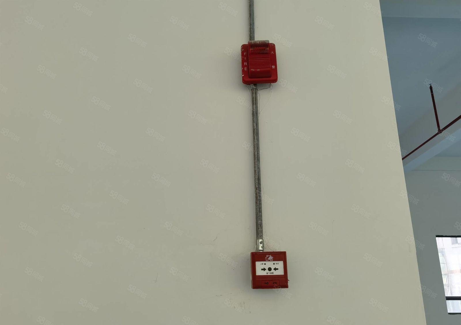 13元出租500平方起分租沥林村委厂房 证件齐全 可办环评