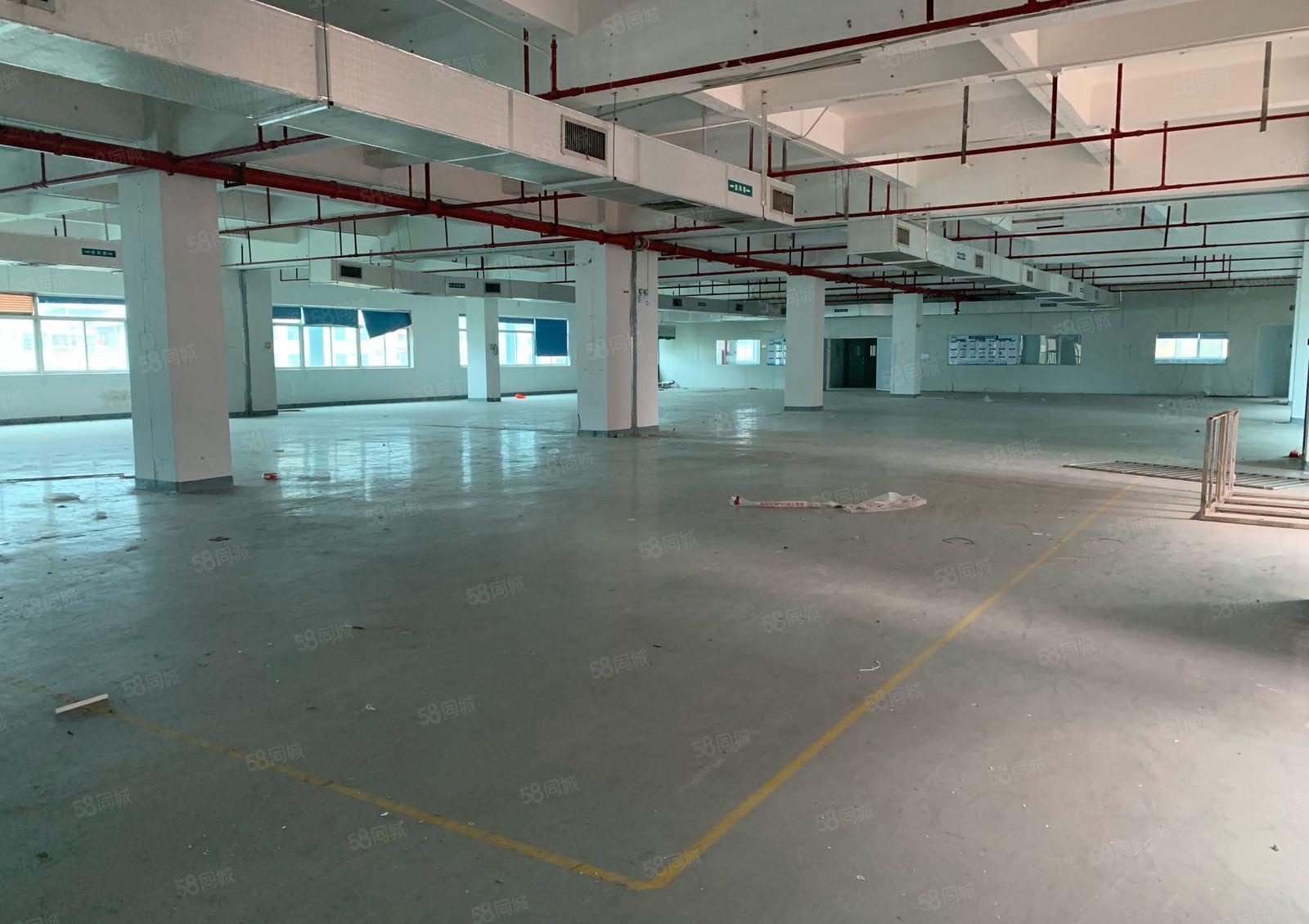 独院仲恺厂房5000多平方宿舍2000多。空地大