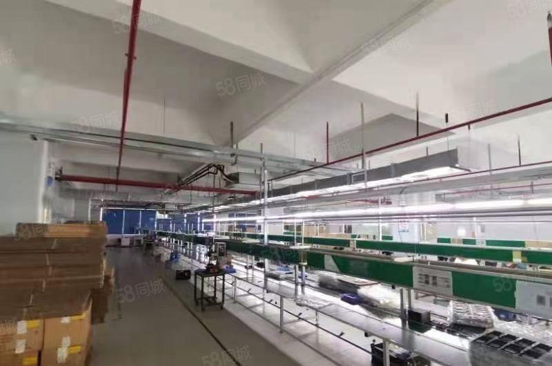 仲恺高新区工业园分租1000平出租