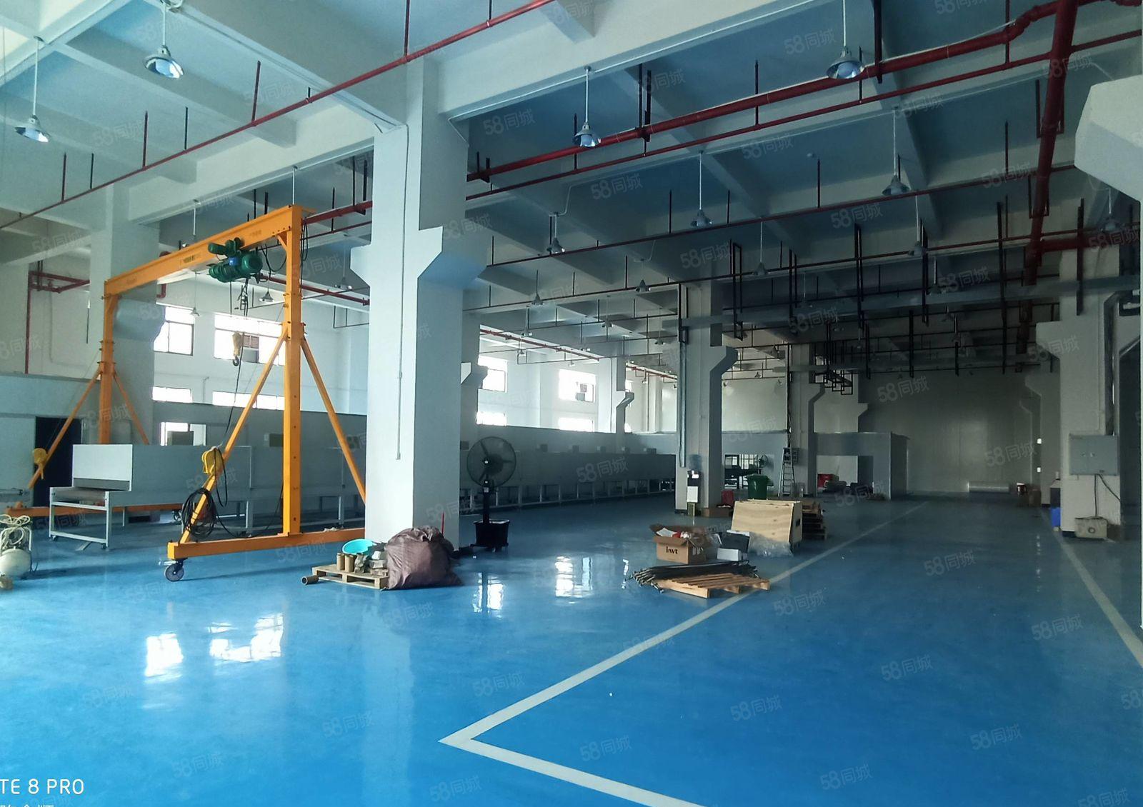 仲恺高新区工业园新出一楼3000平，可以分租