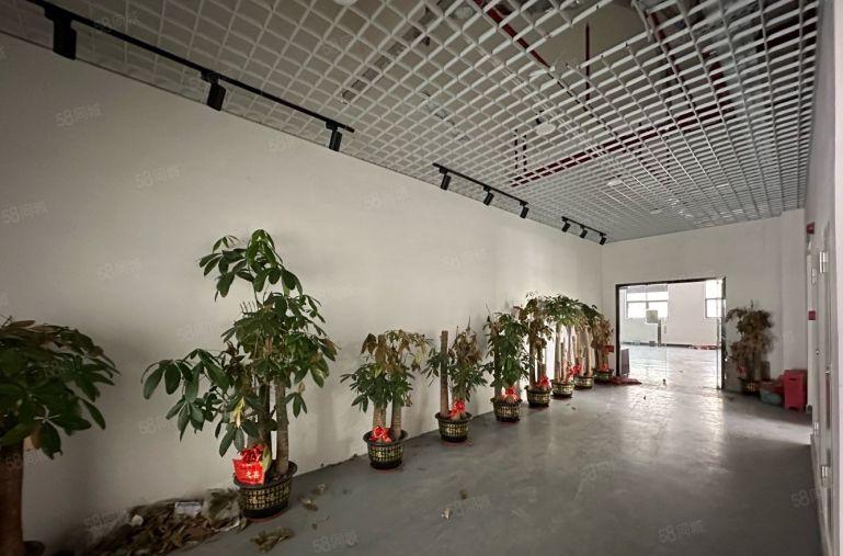 11块急租！五一工业区楼上1000平大小可分租原房东低价出租