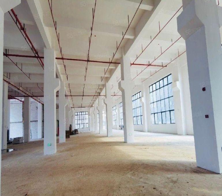 6元全新厂房出租，大小可分，原房东无公摊，不限行业