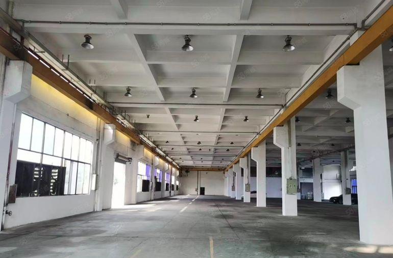 12块！沥林科技园新出3000平单一层厂房仓库出租 可分租