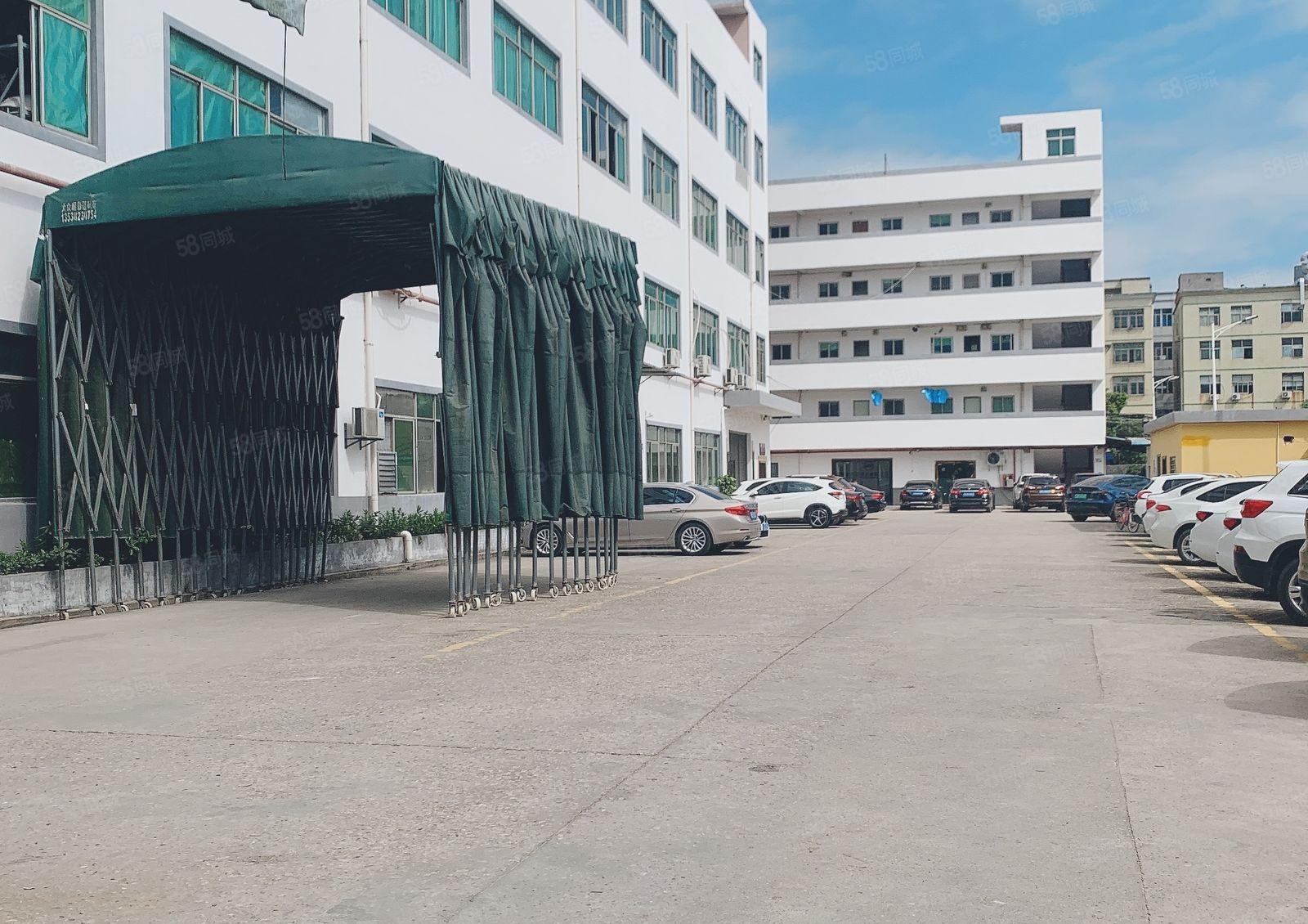 仲恺陈江独门独院4000平高6米原房东红本仓库厂房200起