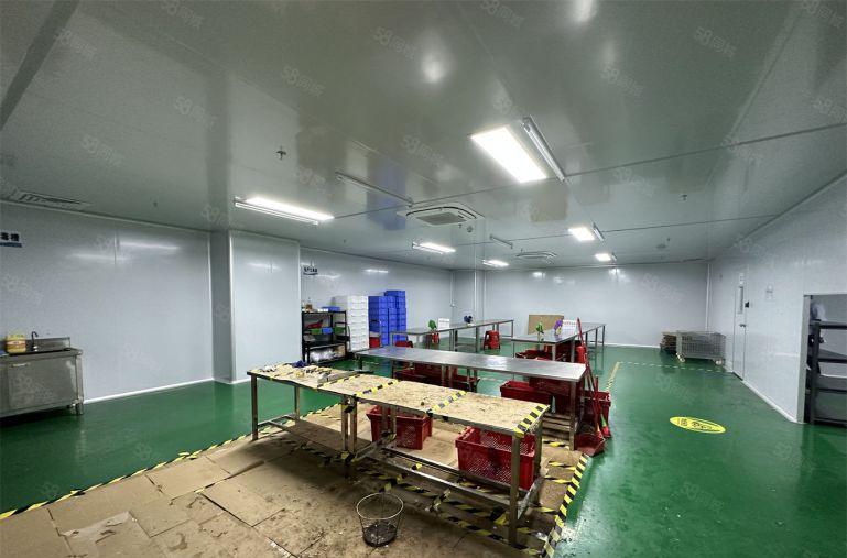 惠环食品级无尘车间无转让费基本全新拎包入住1000平方